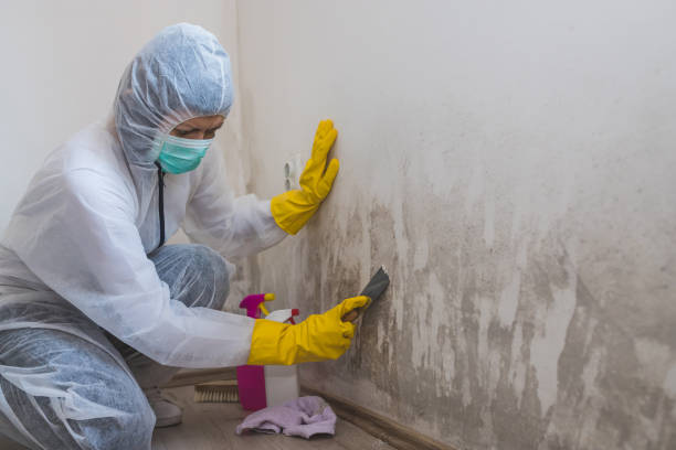 Best Mold Cleaning Services  in Browns Point, WA