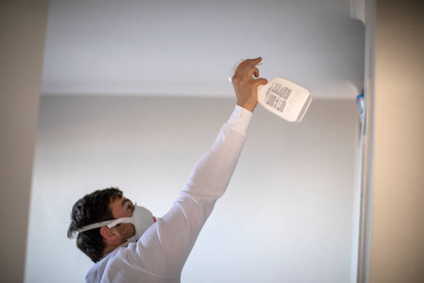 Best Black Mold Removal  in Browns Point, WA
