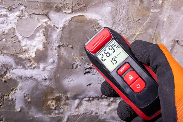 Attic Mold Removal in Browns Point, WA