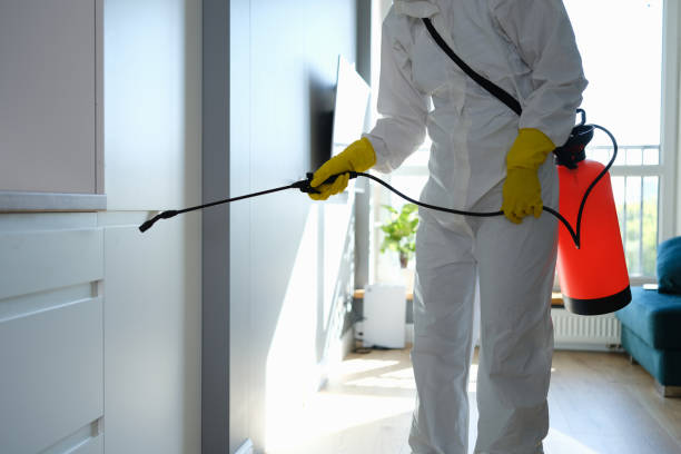 Best Mold Testing  in Browns Point, WA