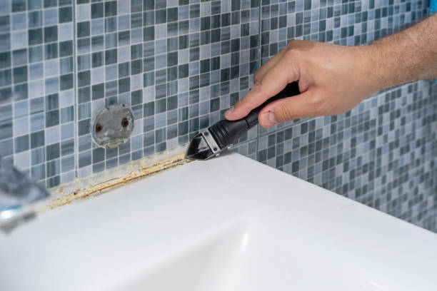 Best Mold Removal Near Me  in Browns Point, WA