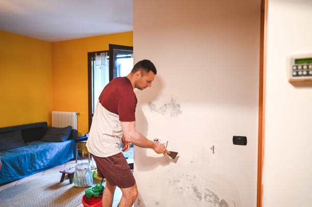 Best Affordable Mold Removal  in Browns Point, WA