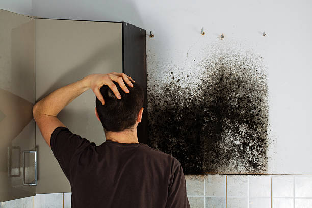 Best Commercial Mold Removal  in Browns Point, WA